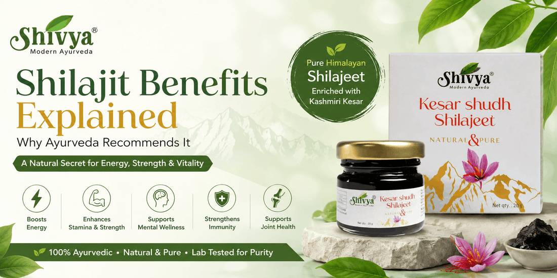Benefits of Shivya Ayurveda Shilajit Explained: Why Ayurveda Recommends It
