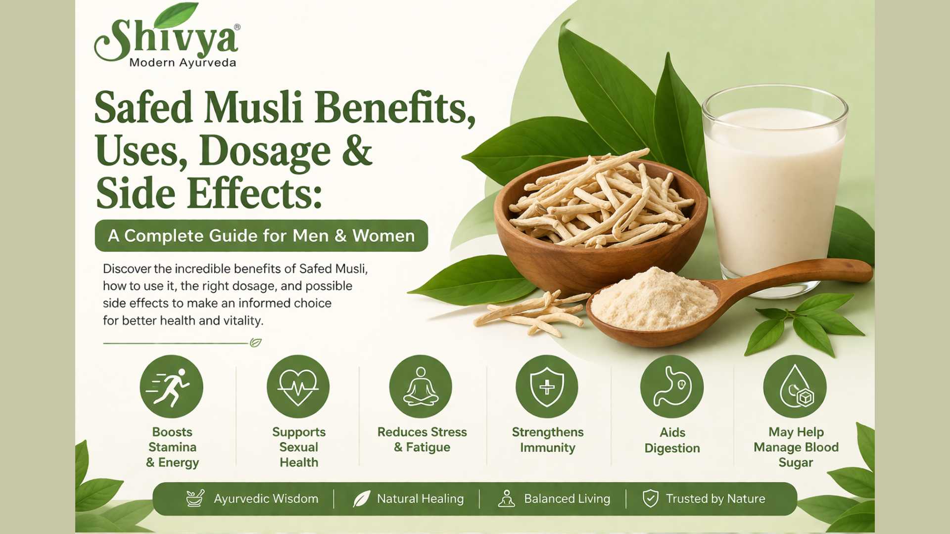 Safed Musli Benefits, Uses, Dosage & Side Effects: A Complete Guide for Men & Women