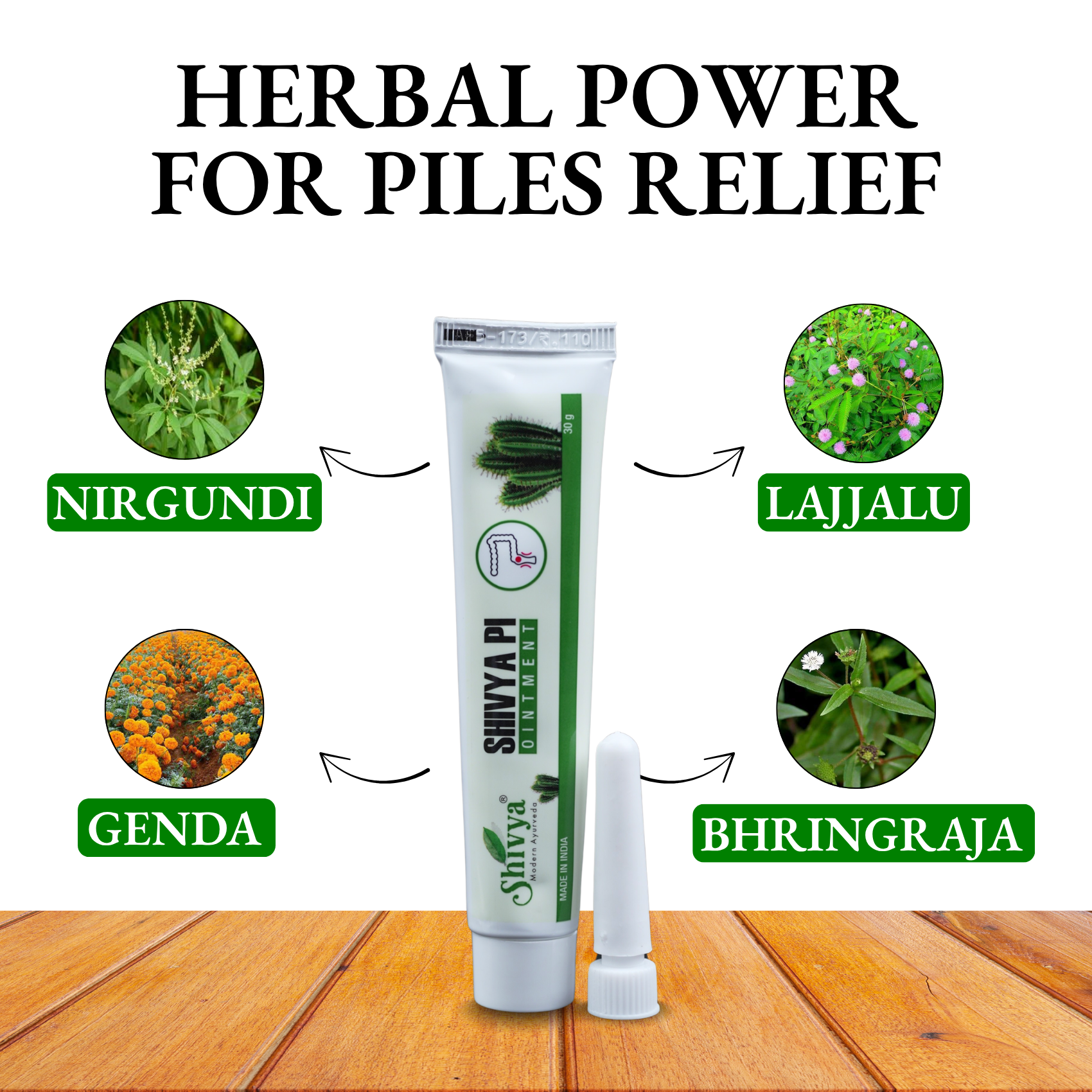 Shivya Pi – Ayurvedic Relief Ointment for Piles