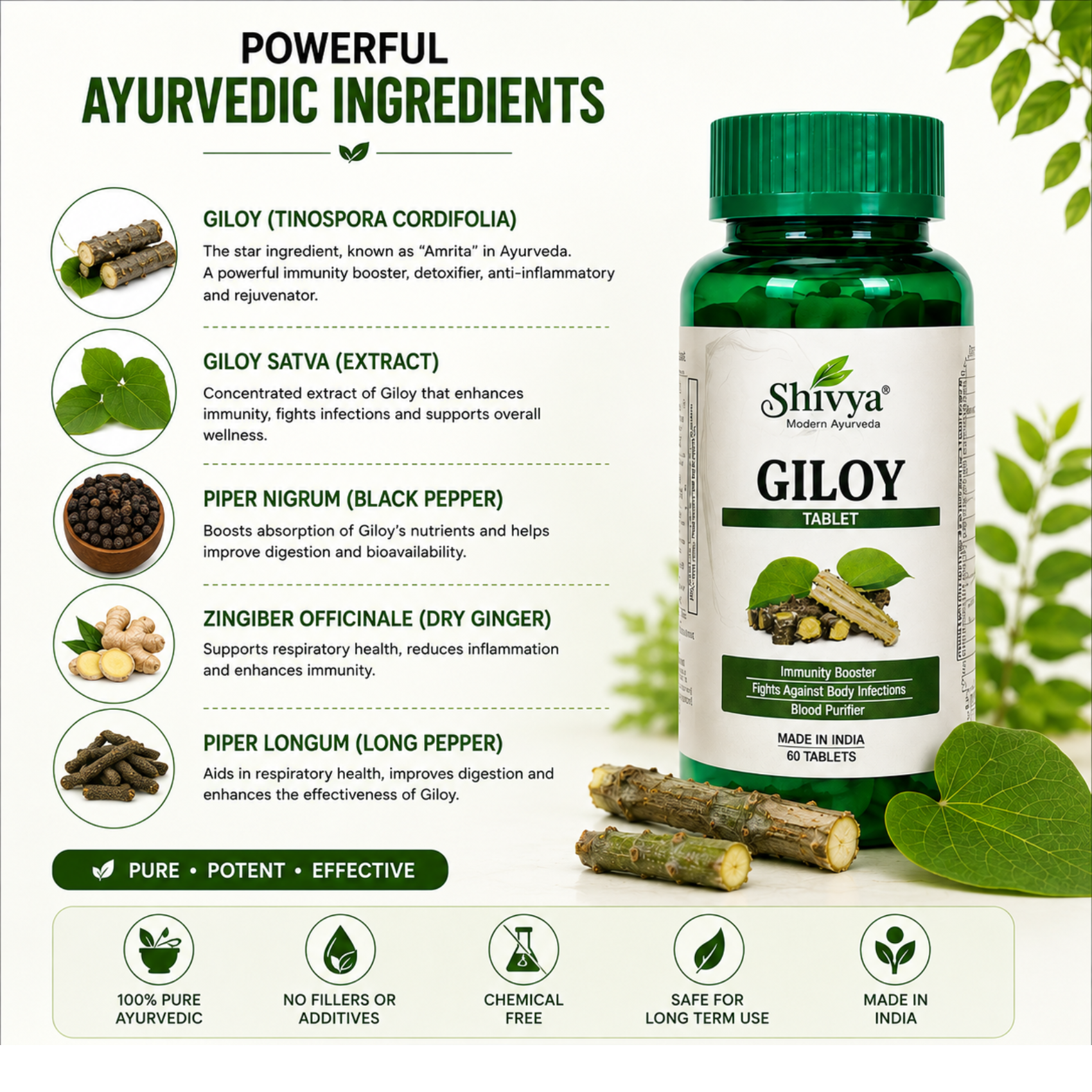 Shivya Giloy Tablets: Natural Immunity & Wellness Booster