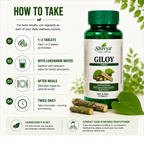 Shivya Giloy Tablets: Natural Immunity & Wellness Booster