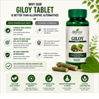 Shivya Giloy Tablets: Natural Immunity & Wellness Booster