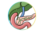 Knee Bond Tablets for Joint Pain