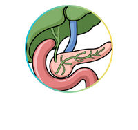 Knee Bond Tablets for Joint Pain