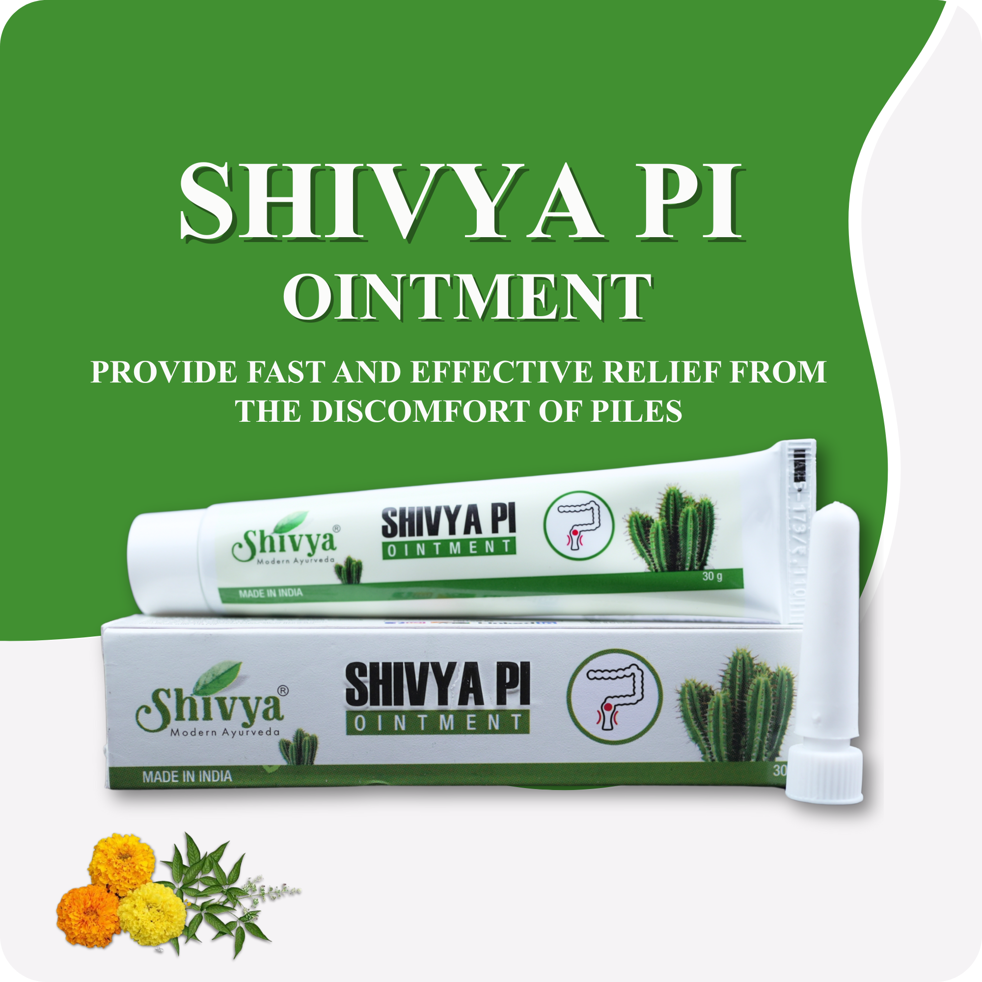 Shivya Pi – Ayurvedic Relief Ointment for Piles