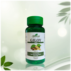 Shivya Giloy Tablets: Natural Immunity & Wellness Booster