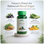 Shivya Shivaram Sugar Balance for Diabetes