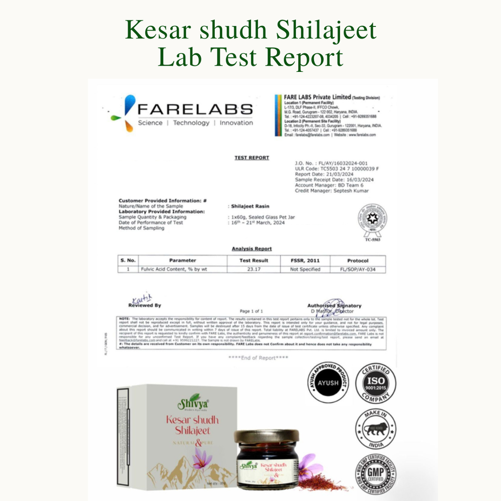 Shivya Kesar Shudh Shilajeet