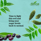 Shivaram Sugar Balance Tablets (Pack of 2)