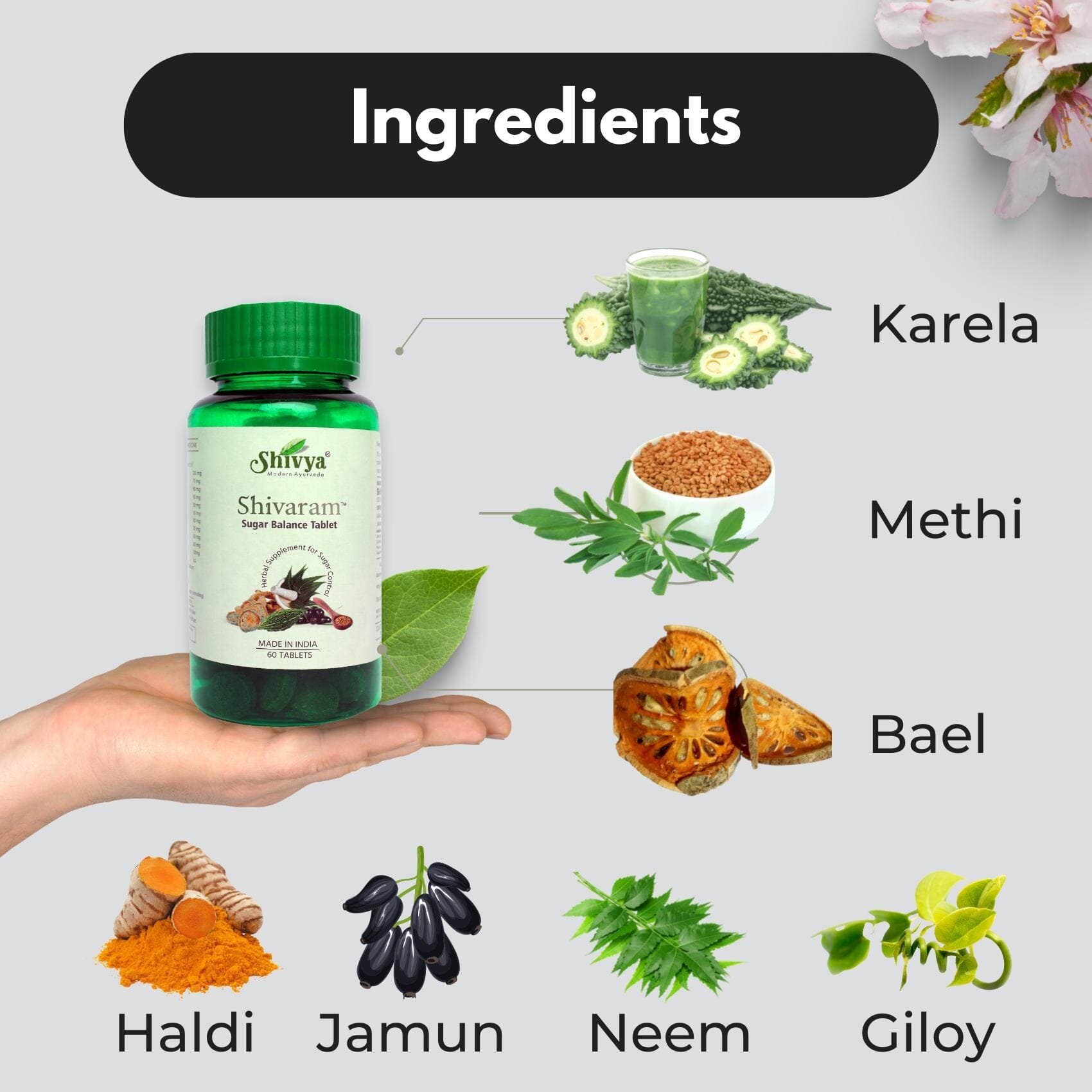 Shivya Ayurvedic Shivaram - Anti-Diabetic 60 Tablets Shivyahealthcare 