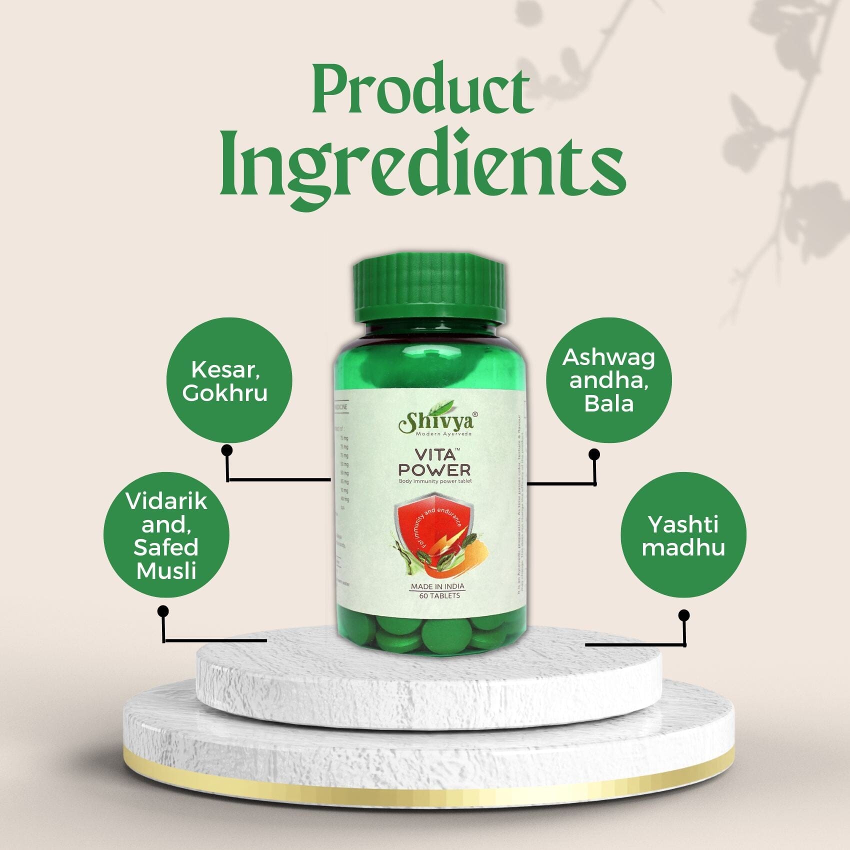 Shivya Ayurvedic Vita Power - Body Immunity Booster, 60 Tablets Shivyahealthcare 